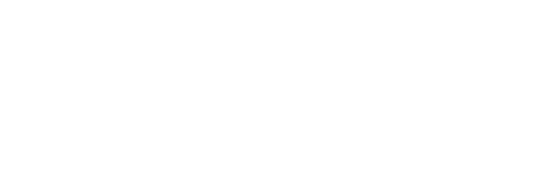 EntityFlo